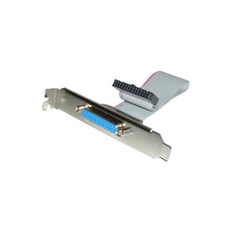 SLOT BRACKET DSUB 25PIN PARALELO LPT1 (M)