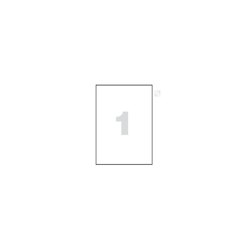 ETIQUETAS LASER 210X297 C/100 (A4)*