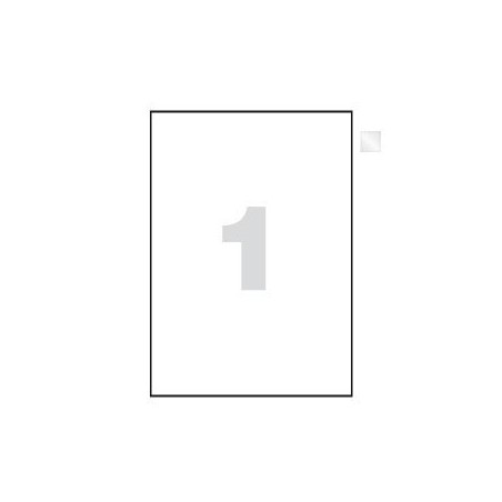ETIQUETAS LASER 210X297 C/100 (A4)*