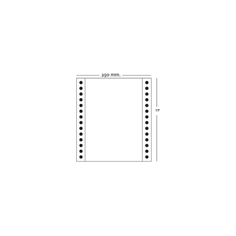 PAPEL CONTINUO 250X11 BLANCO 1T X 2.5*