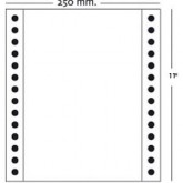 PAPEL CONTINUO 250X11 BLANCO 1T X 2.5*