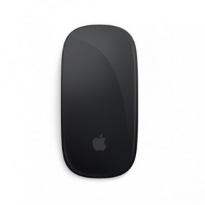 RATON APPLE MAGIC MOUSE 2 GRIS ESPACIAL MMMQ3ZM/A
