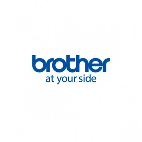 CAJA DE 12 ROLLOS DE ETIQUETAS PREC. BROTHER 50 X 30MM 