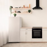 CONGELADOR VERTICAL CÍCLICO TAKI 4007W 144 CM BLANCO