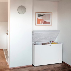 CONGELADOR REFRIGERADOR NEPTUNO 3006 290L