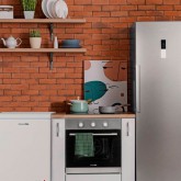 CONGELADOR REFRIGERADOR NEPTUNO 3004 100L