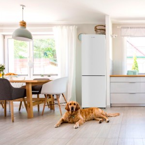 FRIGORÍFICO COMBI ERIE 3017W NO FROST 185 CM BLANCO