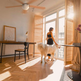 VENTILADOR DE TECHO MECÁNICO BASE BLANCA 5 ASPAS 132 CM. 60W