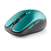 RATON NGS INALAMBRICO EVO RUST VERDE AGUA