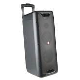 ALTAVOZ NGS PORTABLE BLUETOOTH WILD RAVE 1 200W