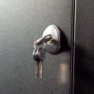 ARMARIO MURAL 19" PHASAK 15U PHO 3115 600X600 PTA.DE CRISTAL