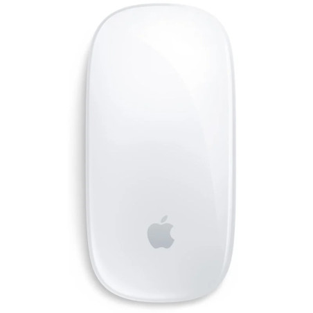 RATON APPLE MAGIC MOUSE 2 USB TIPO-C  PLATA MXK53ZM/A