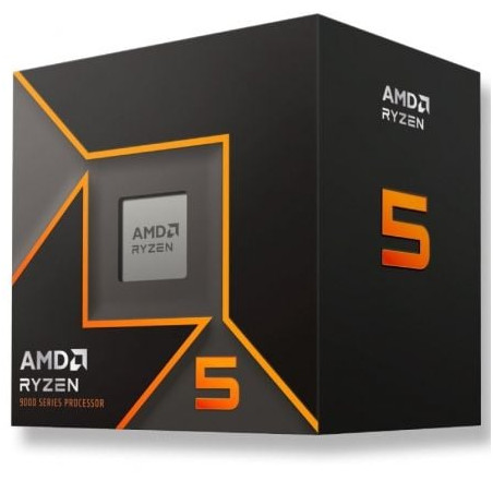 AMD RYZEN 5 AM5 9600 