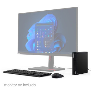 ORDENADOR LENOVO THINKCENTRE M70Q GEN5 I5 8GB 256GB W11
