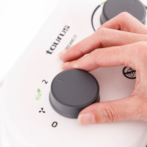 CALEFACTOR TAURUS FH2401